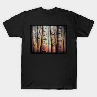 Colorful Birch Trees T-Shirt